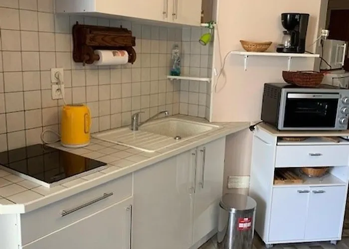 Appartement 1 Proche Des Thermes - Animaux Admis - Fr-1-503-133 Balaruc-les-Bains
