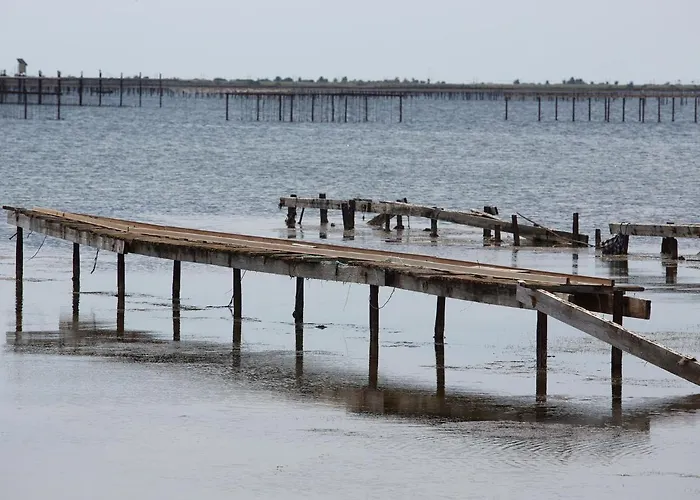 1 Proche Des Thermes - Animaux Admis - Fr-1-503-133 *